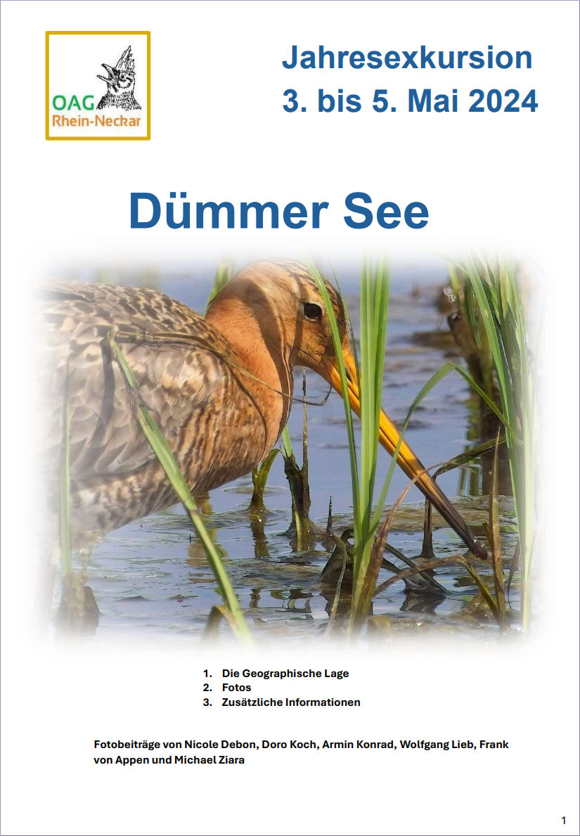 Bildbericht Dümmer See
