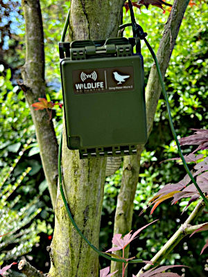 Wildlife Acoustics - Song Meter Micro 2 Akustik Recorder